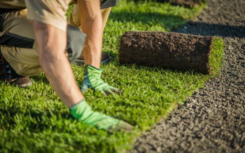 artificial and natural turf West Lothian