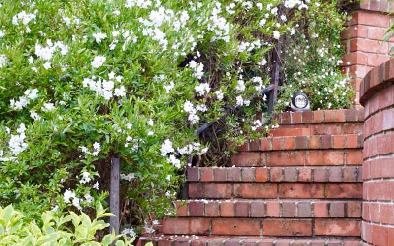 Brick garden steps Scotland