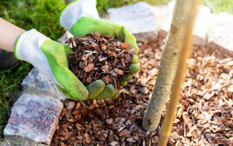 final touches for your garden planters