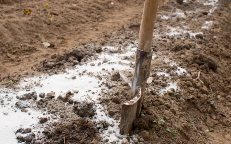 ground preparation for garden planters