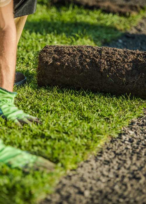 natural turf installer scotland