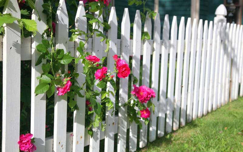 picket fence installer central Scotland