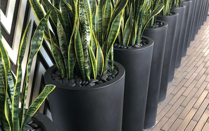 plastic garden planters west lothian