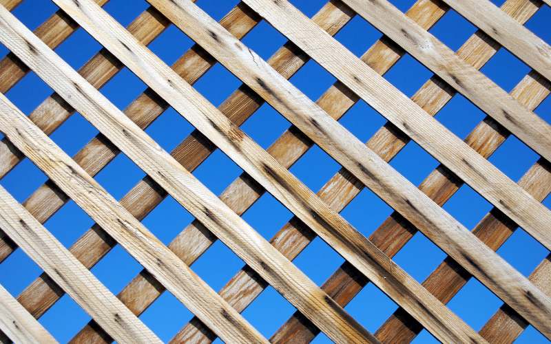 trellis fence installer central scotland